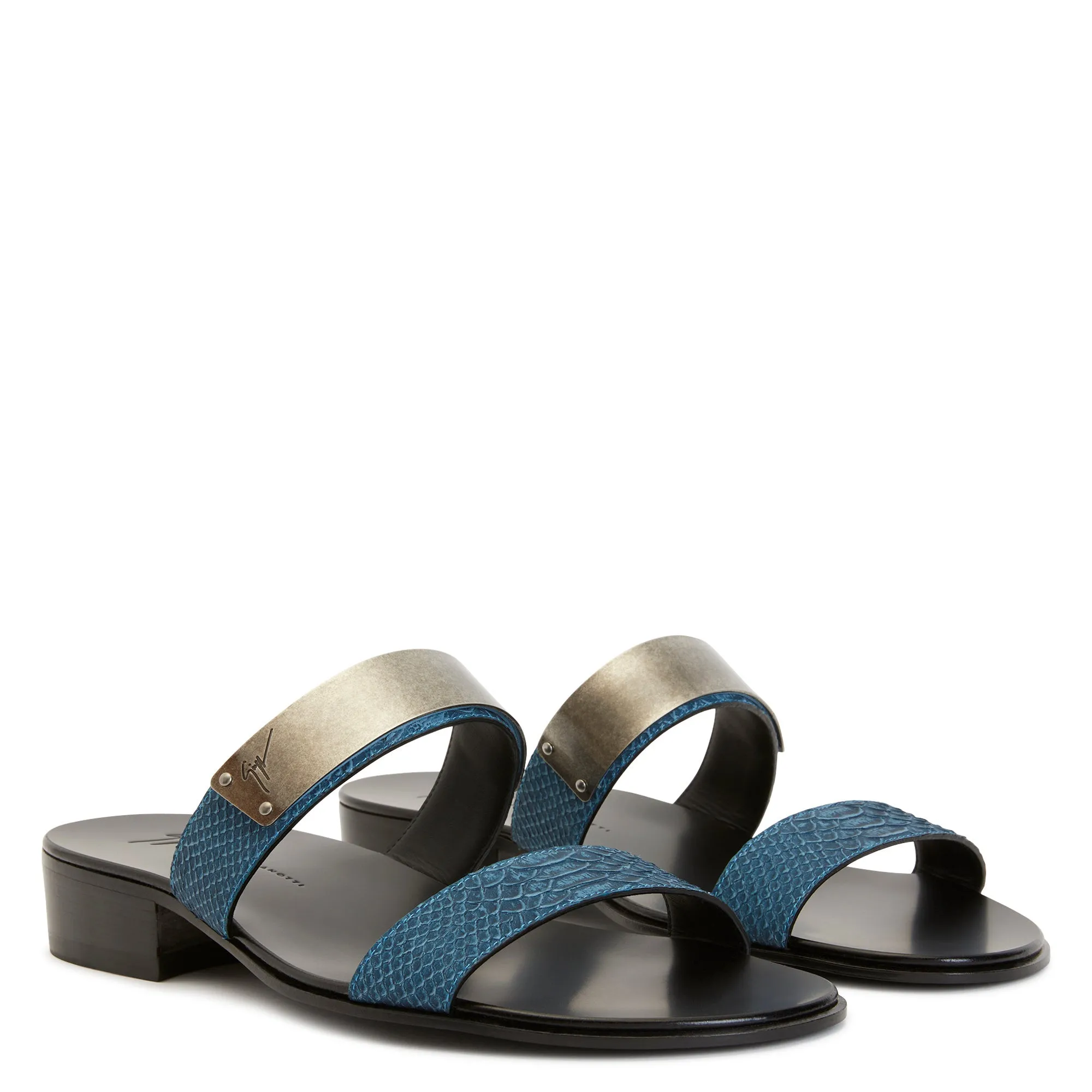 Giuseppe Zanotti Ignazio
