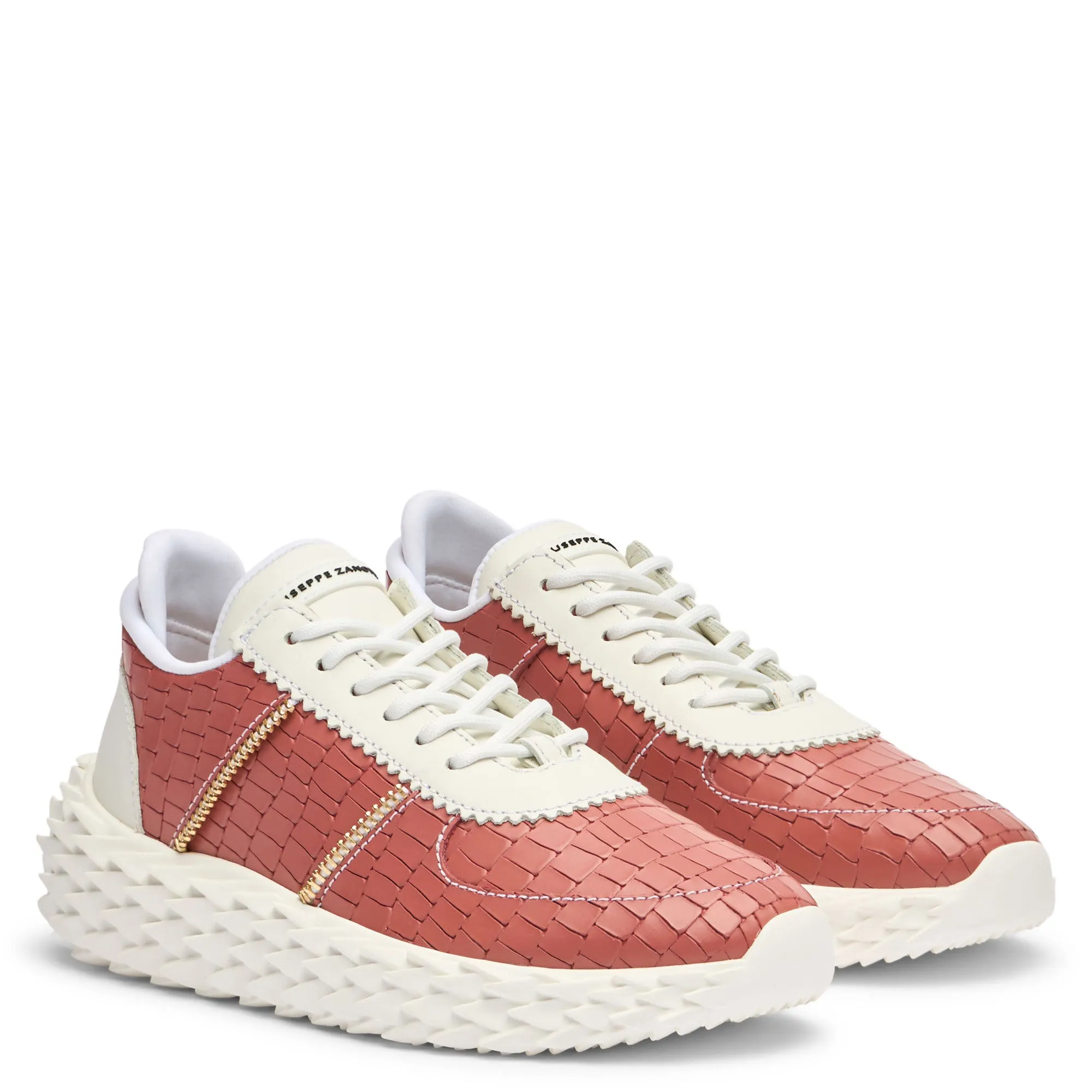 Giuseppe Zanotti Urchin