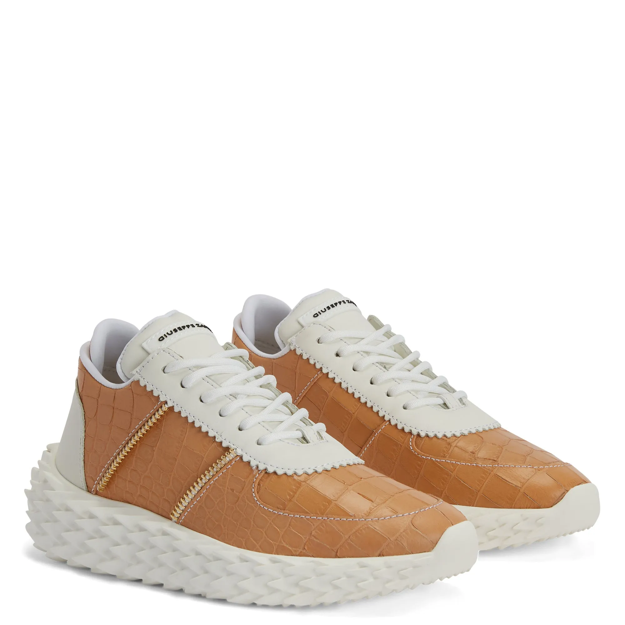 Giuseppe Zanotti Urchin
