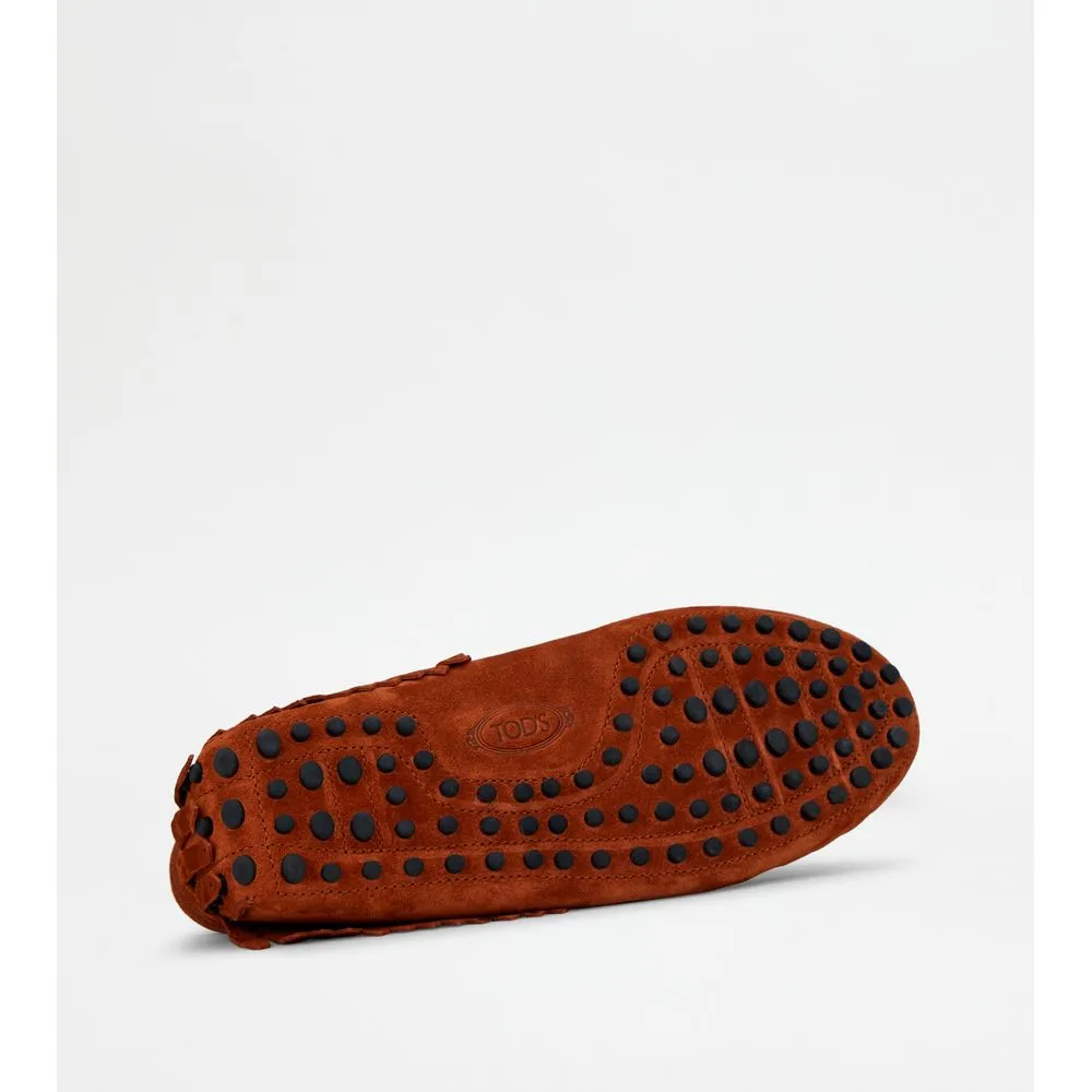 Gommino Desert Boots in Suede