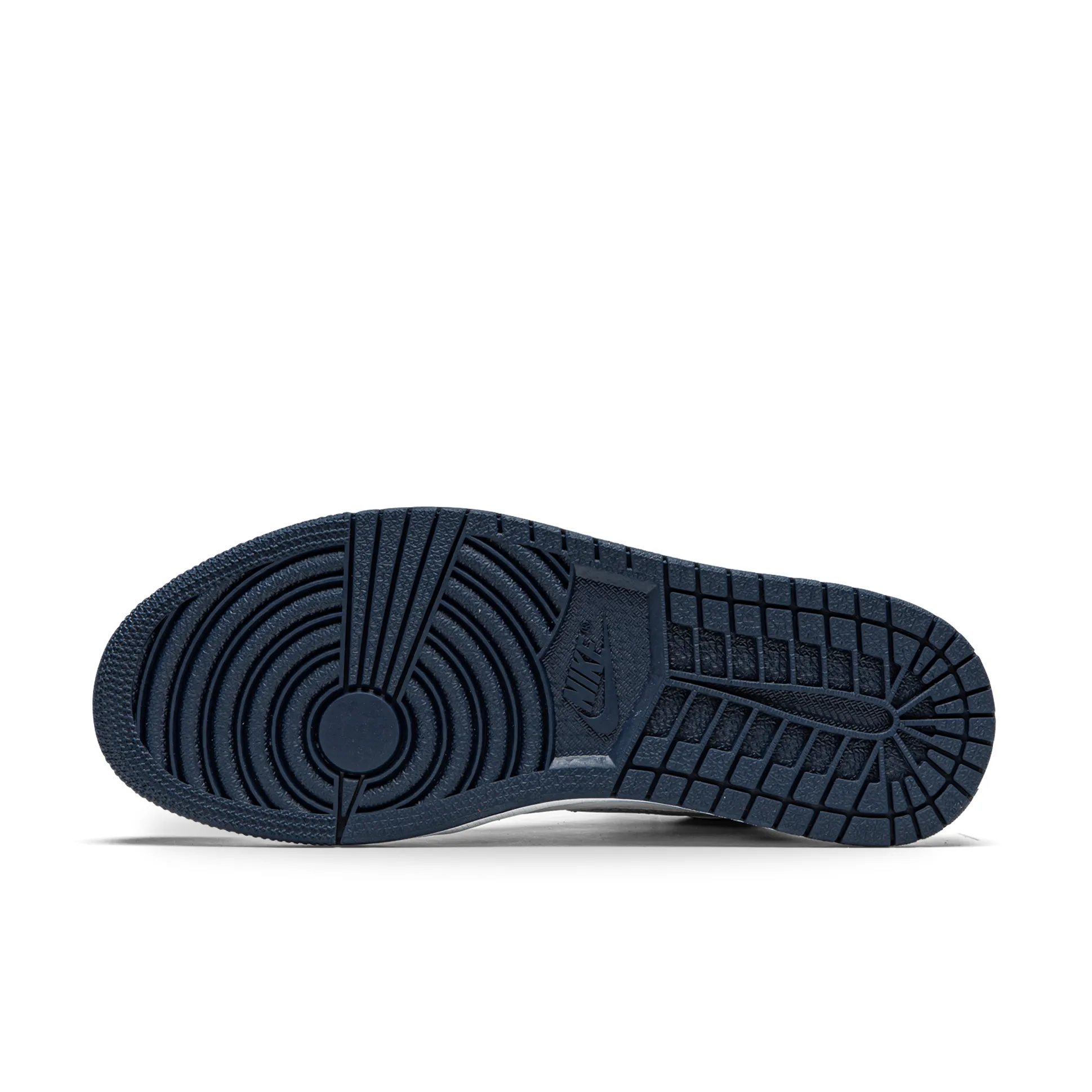 Nike Dunk High Michigan (2020)